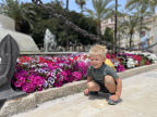 IMG 7581