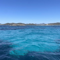 IMG 7376
