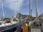 IMG 7845