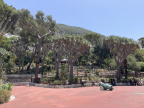 IMG 7895