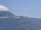 IMG 3598
