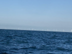 09 Nederland