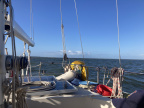 2 Lelystad