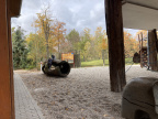 IMG 4681